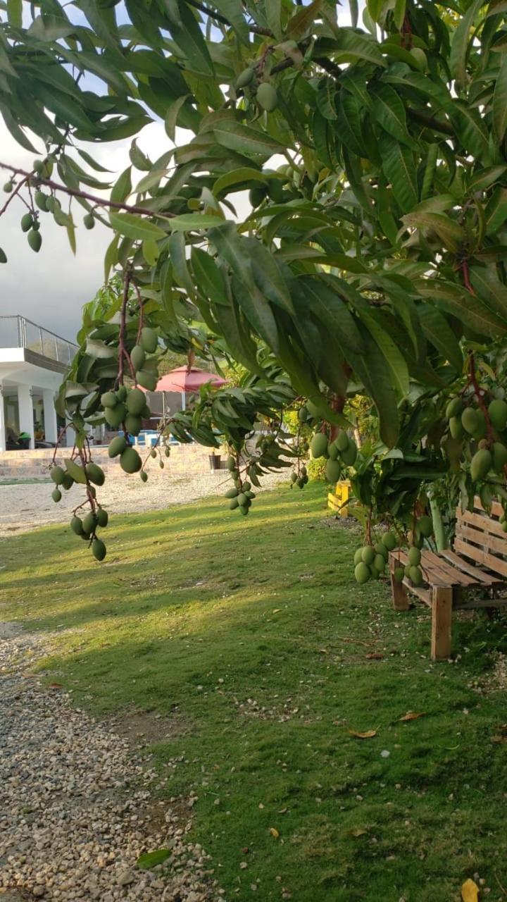 Casa De Campo Nerys San Juan de la Maguana Kültér fotó